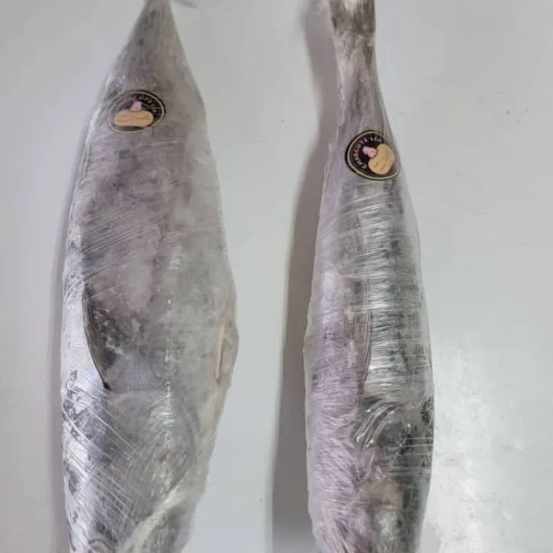 Pescado Bonito 