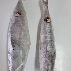 Pescado Jurel 