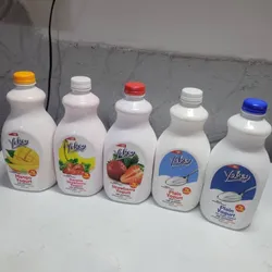 Yogurt Probiótico 