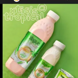 Yogurt Xtasis Tropical 1L
