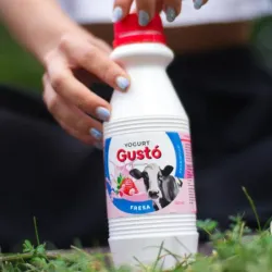 Yogurt Gustó 500ml