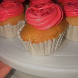 Cupcakes 