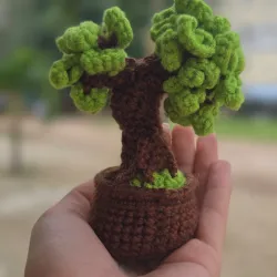 Bonsai