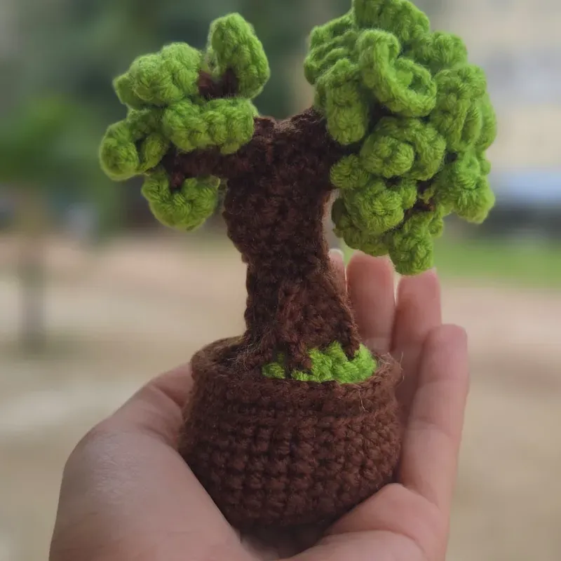 Bonsai