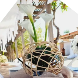 Centro de Mesa