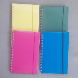 Agendas Rayadas