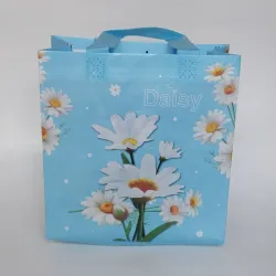 Bolsa de Regalo plástica reutilizable