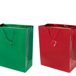 Bolsa brillo