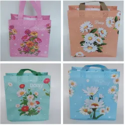 Bolsas plástica reutilizable