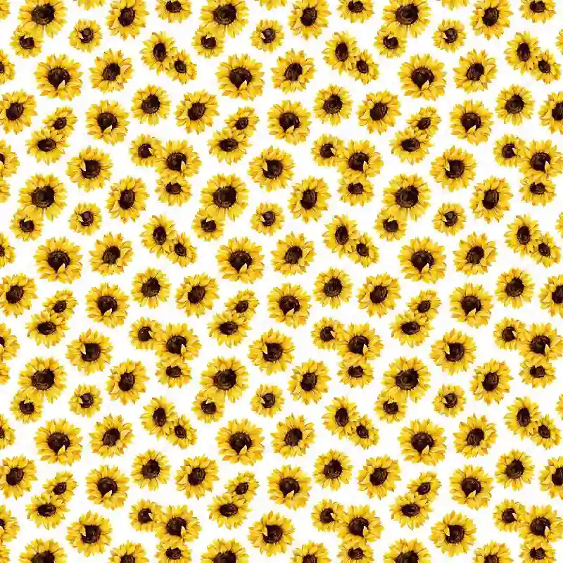 Girasoles