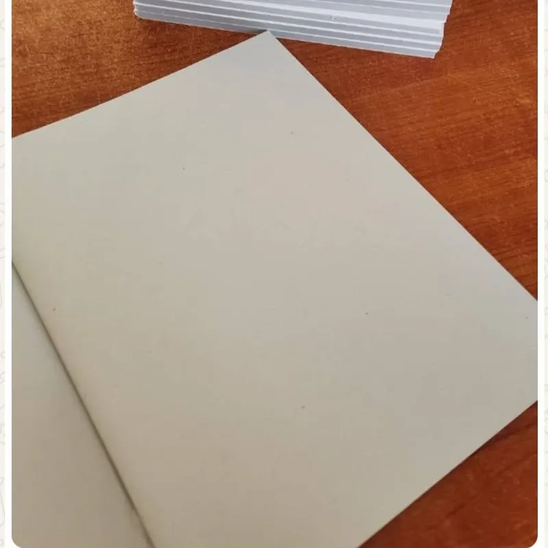 Libretas de hojas lisas