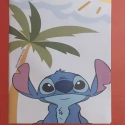 Libretas Forradas