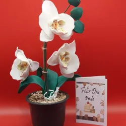 Maceta plastica con orquidea en foami + postalita a eleccion