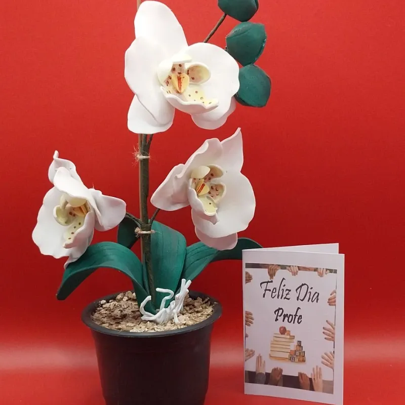 Maceta plastica con orquidea en foami + postalita a eleccion
