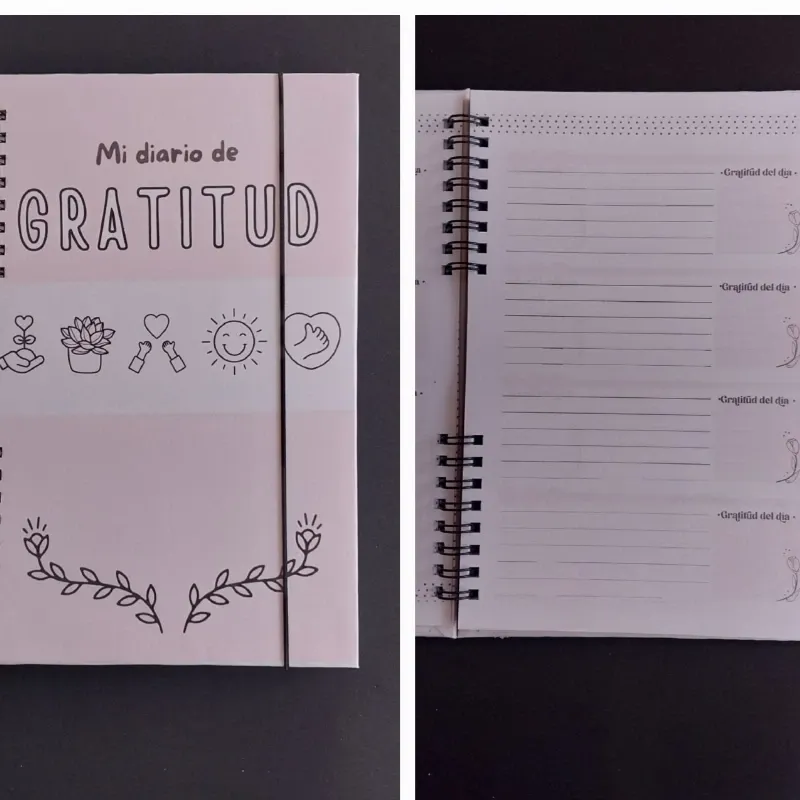 Mi Diario de Gratitud #2