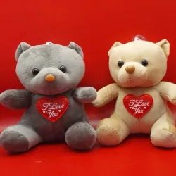 Ositos de peluche gris o beige