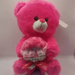 Oso de Peluche fucsia