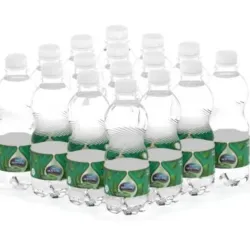 Agua Gaseada CIEGO MONTERO 330ml