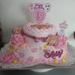Cake paw patrol 