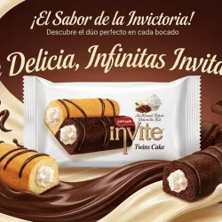Invite twins cake