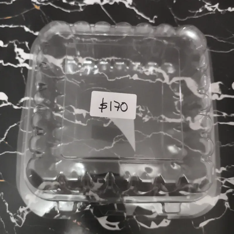 Envase desechable tipo termo pack