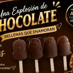 Paleta Rellenas de Pacitas