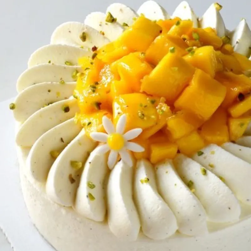 EXTRAVAGANZA MANGO CAKE 🥭