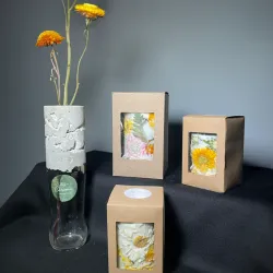 Velas Botánicas