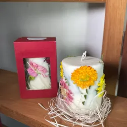 Velas Botánicas