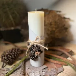 Vela de soja en base de cemento con pino casuarina.