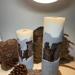 Vela de soja en base de cemento con pino Casuarina.