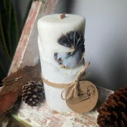 Velas de soja botánicas