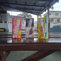 Jugo en conserva