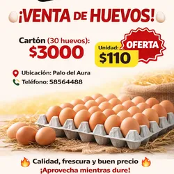 Huevo (unidad)