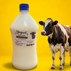 Yogurt natural