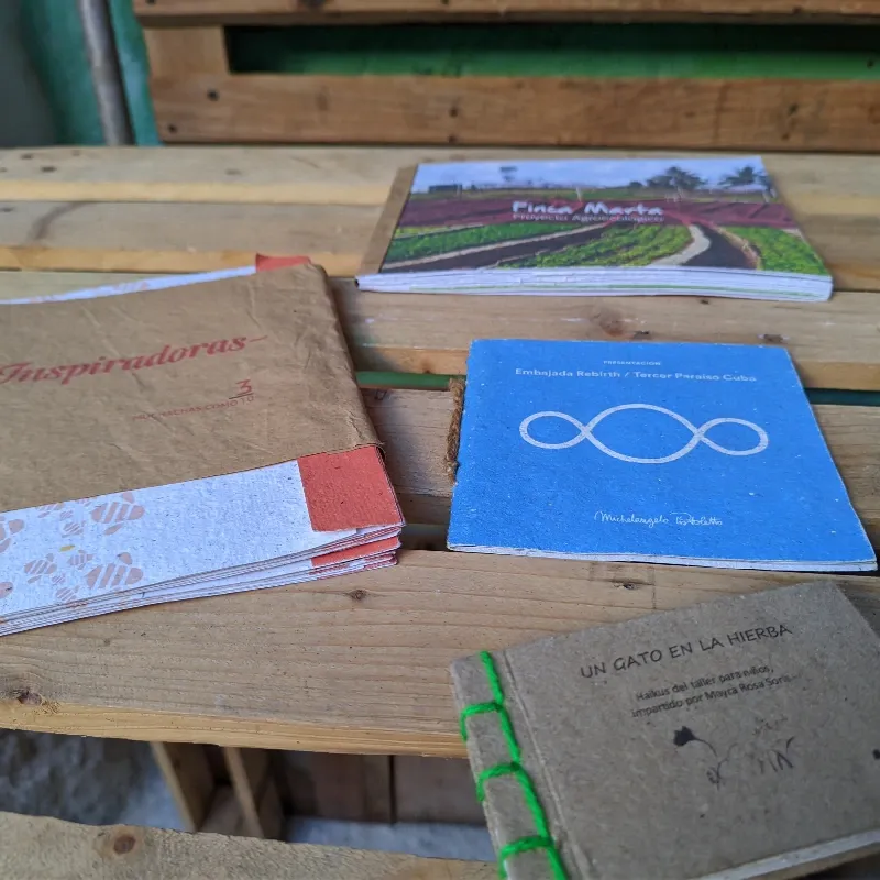 Folletos, Catálogos o Menús