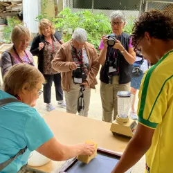 Visita guiada a Ciclo Ecopapel