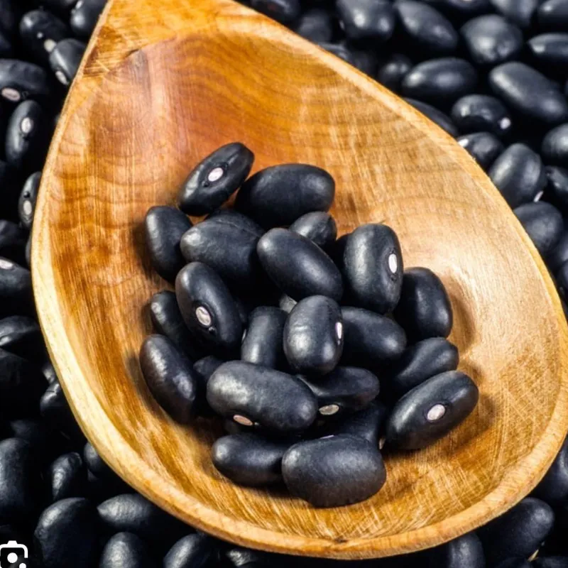 Frijoles negros