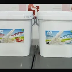 Yogur probiótico