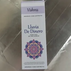INCIENSO LLUVIA DE DINERO 20 UNIDADES