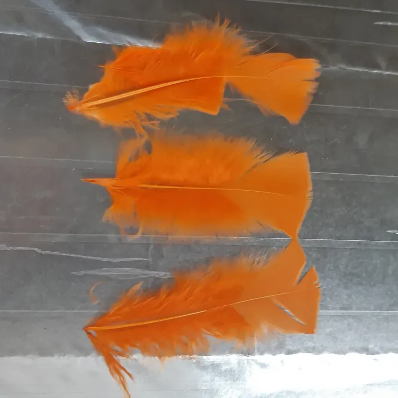 PLUMAS DECORATIVAS 13 - 20 UNIDADES