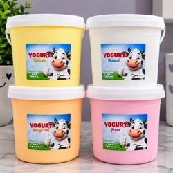 Yogurt FresKo🥛