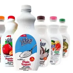 Yogurt Probiótico