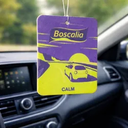 Ambientador de carro