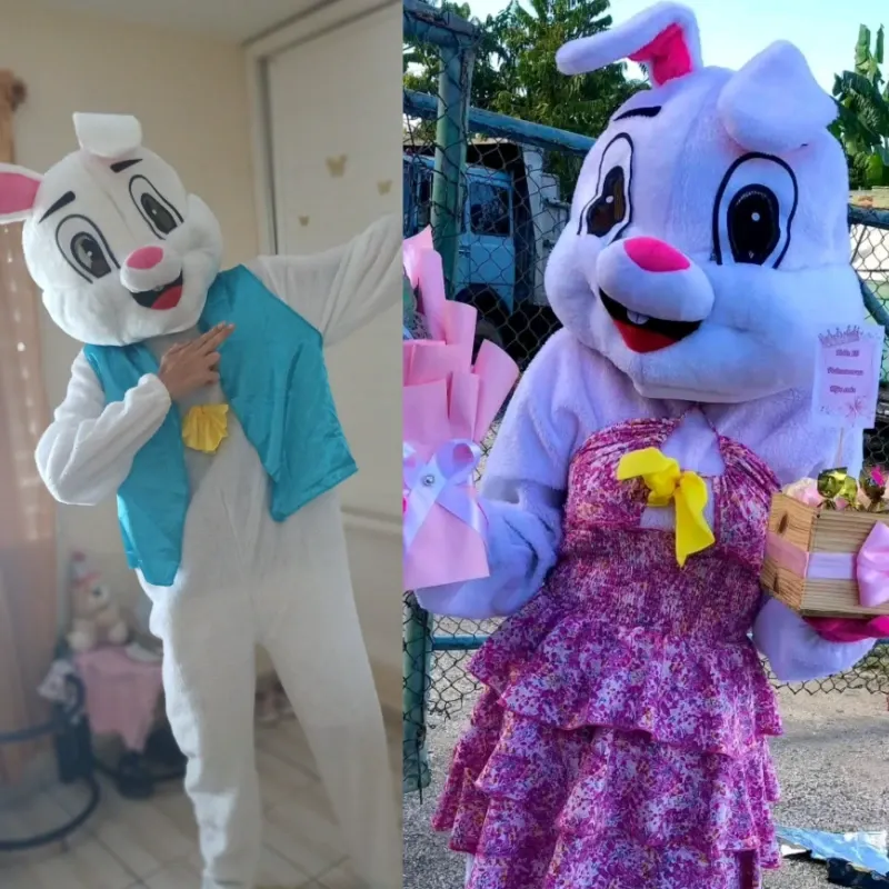 🎤Presentadora y Animación 🐰