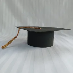 Cake topper