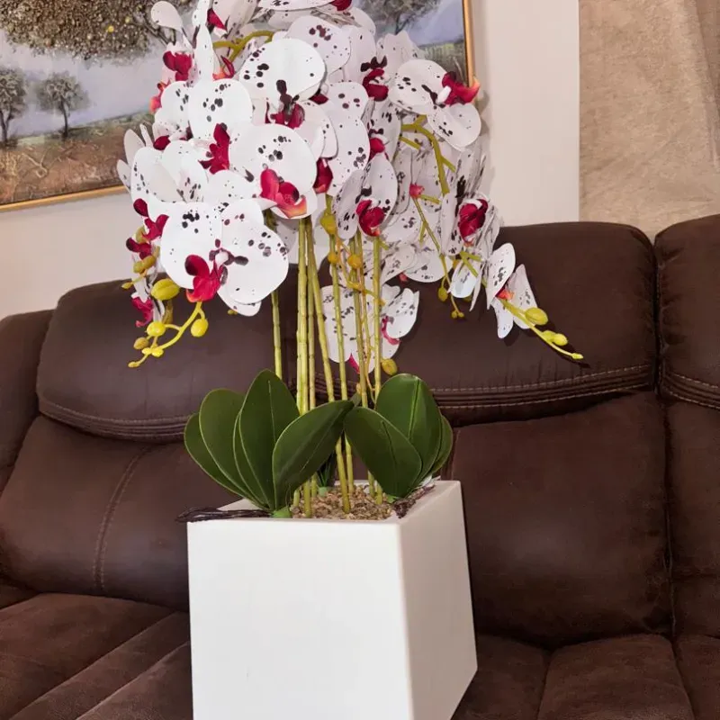 Arreglo floral de orquídeas 70 cm