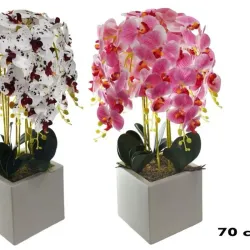 Arreglo floral de orquídeas 70 cm