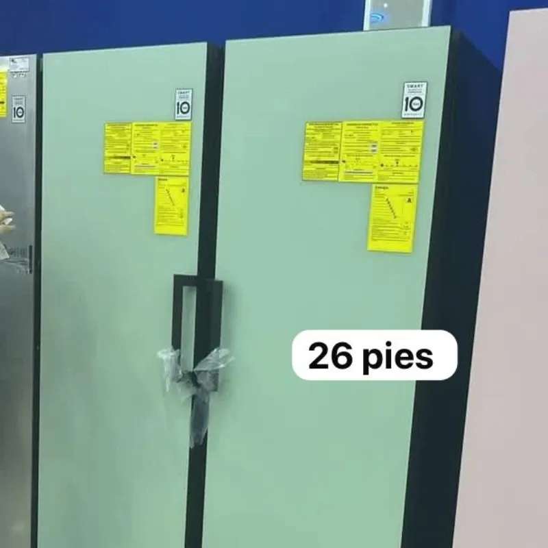 Conjunto de Refrigerador LG de 26 pies ,2 piezas una mantenimiento y otra congelación