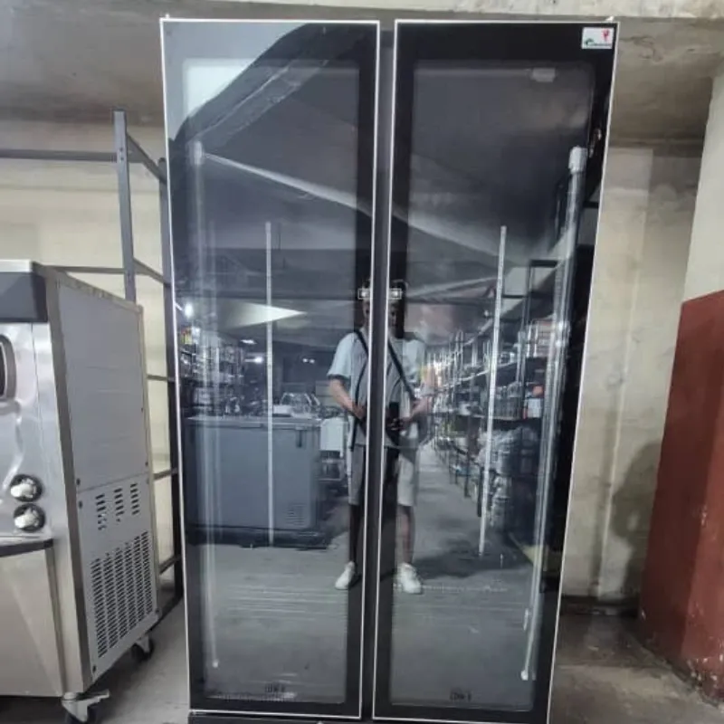 Exhibidora XINGX Vertical Doble Puerta de 25 pieS